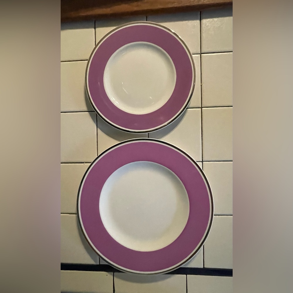NWT Villeroy & Boch 2 Plates 10.5” Dinner & 9” Luncheon Anmut PinkRose Porcelain